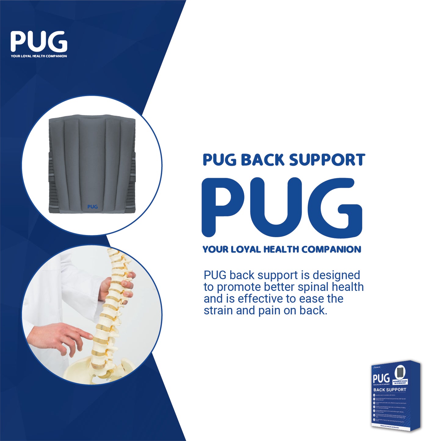 Pug Back Support, The Ultimate Solution for Back Pain Relief, Ergonomically designed for the Indian body, Offers Ideal Support, Eases Pain, and Enhances Flexibility with breathable Lumber Pad Cushioning and Lower back Brace