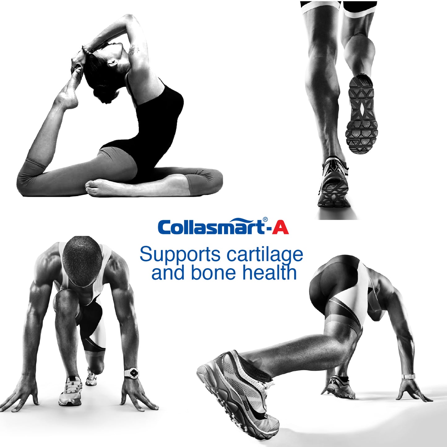 Collasmart-A UC-II Undenatured Type 2 Collagen with Plant Extract - Aflapin (Boswellia Serrata)