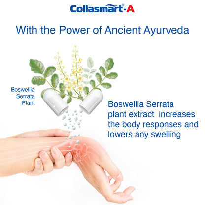 Collasmart-A UC-II Undenatured Type 2 Collagen with Plant Extract - Aflapin (Boswellia Serrata)